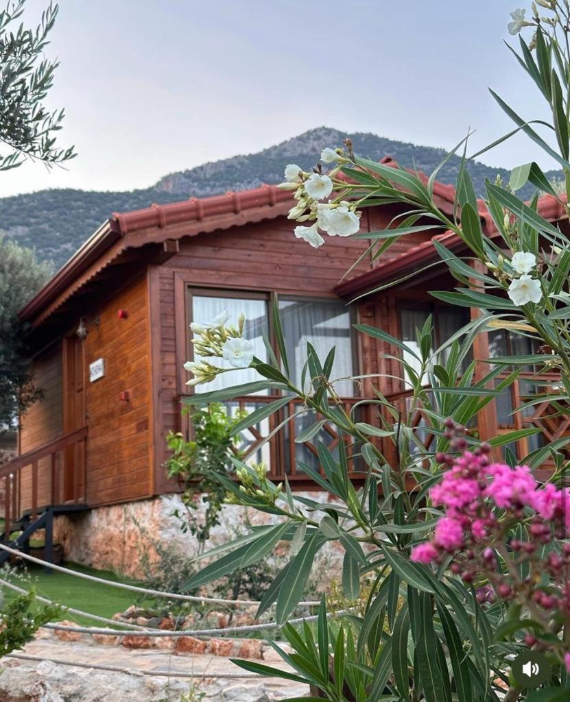 Doganin Ruhu Hotel & Bungalow Каш Екстериор снимка