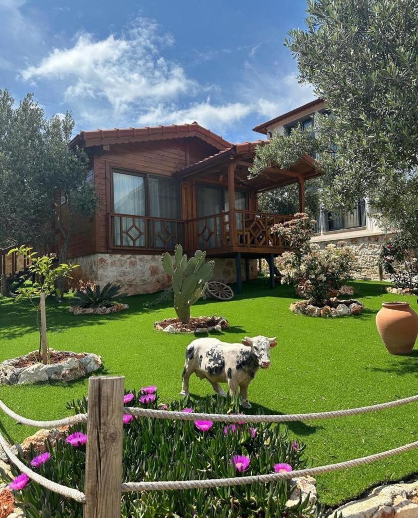 Doganin Ruhu Hotel & Bungalow Каш Екстериор снимка