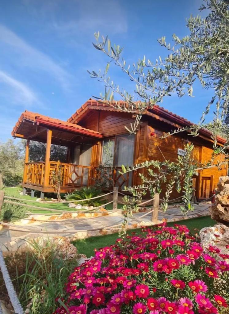 Doganin Ruhu Hotel & Bungalow Каш Екстериор снимка