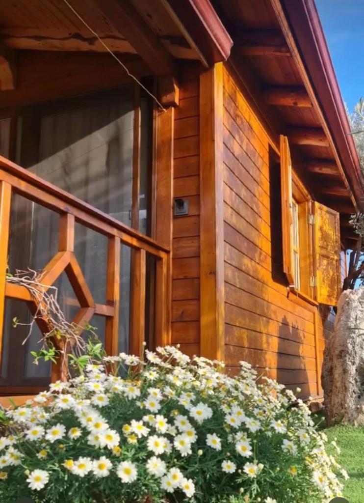 Doganin Ruhu Hotel & Bungalow Каш Екстериор снимка